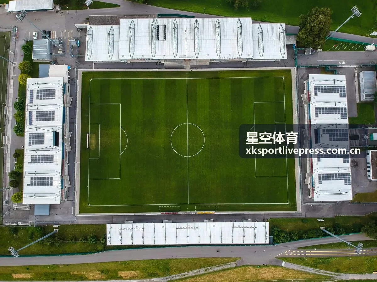 星空体育深度阅读文章封面